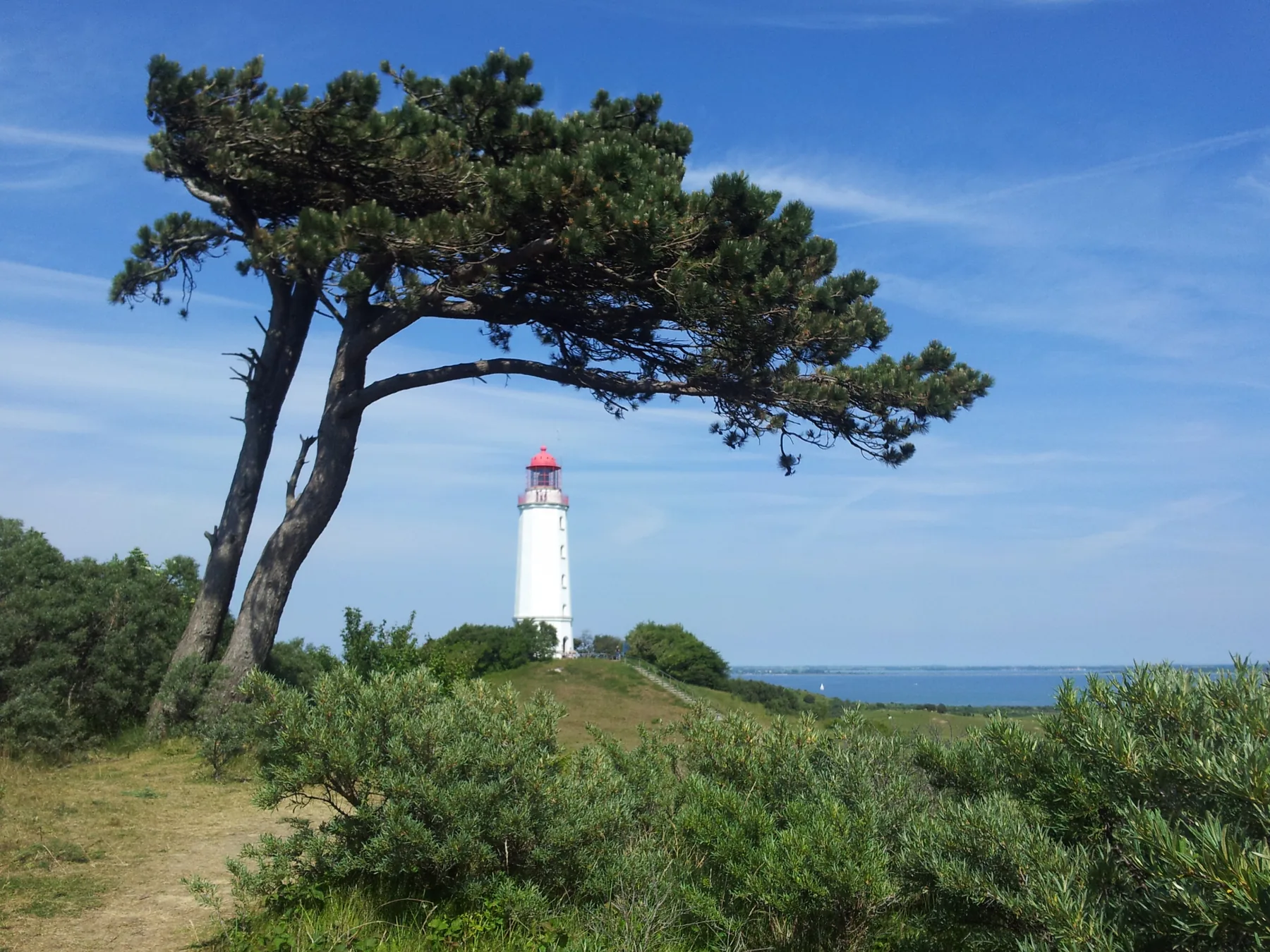 Leuchtturm auf Hiddensee